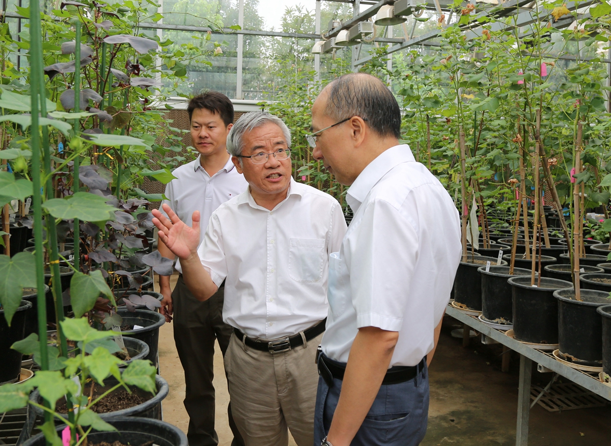 å¨æ£è±æ¸©å®¤èå¯