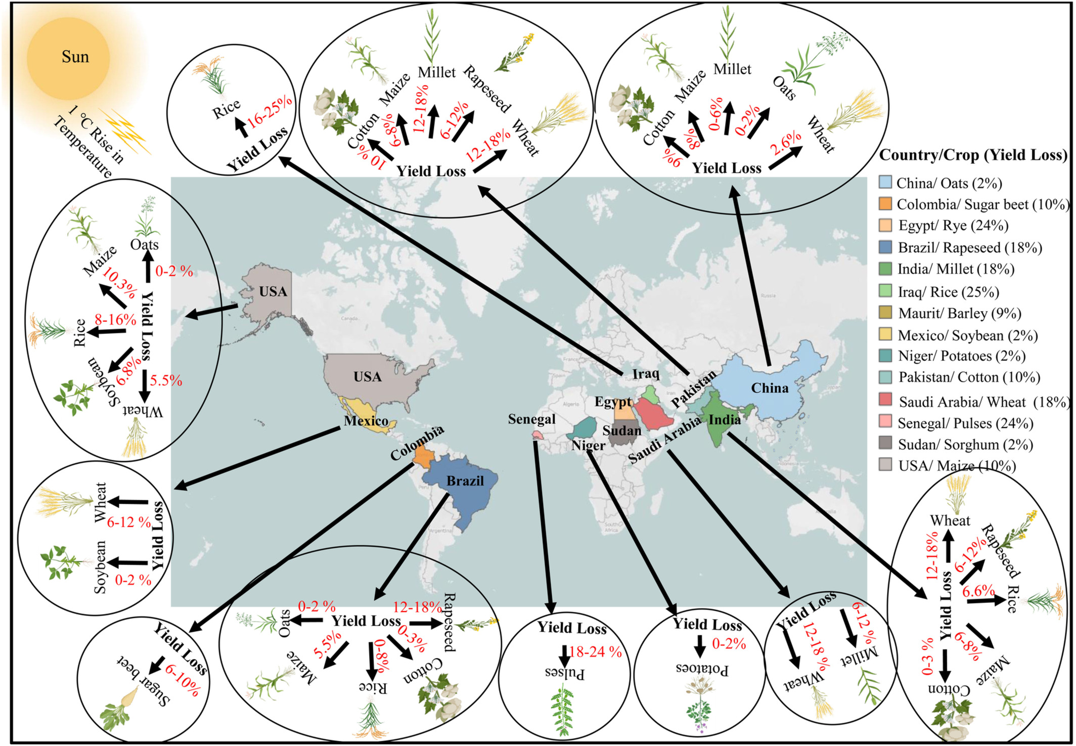 high-temperature-stress-in-crops-male-sterility-yield-loss-and